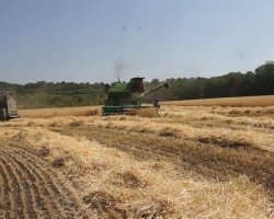 Agricultorii din raionul Șoldănești nu se grăbesc să-şi vândă roada