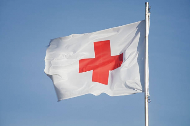 Comitetul Internaţional al Crucii Roşii a fost victima unui atac cibernetic