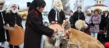 Jocul caprei “Ţa, ţa, ţa căpriţă ţa!” – un obicei străvechi la români, păstrat şi-n zi de azi, de Anul Nou